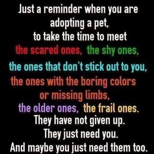 Meet your Posher, Drew